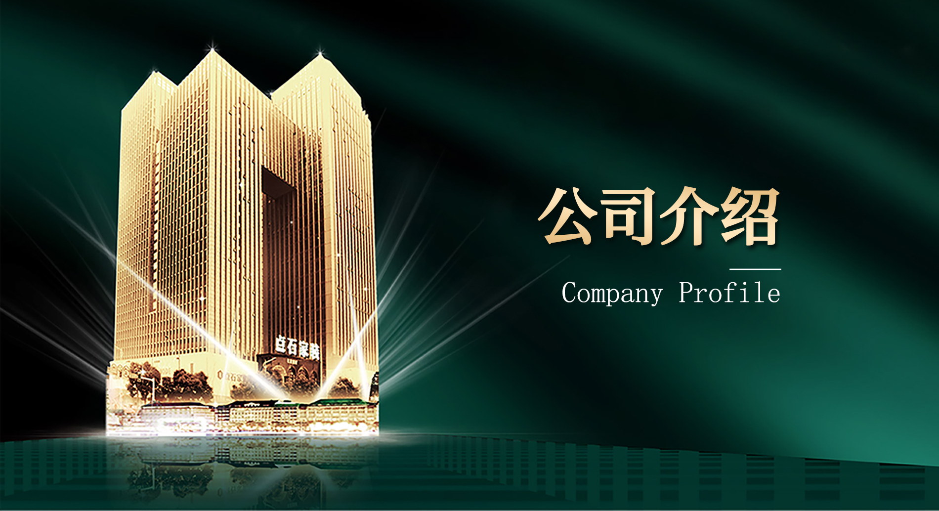 公司介绍 Company Profile